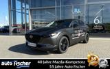 Mazda CX-30 2.0 (186PS) Autom. Nagisa Teilleder Rückfa - Mazda CX-30: Nagisa