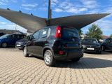 Fiat Panda Neues Modell 1.0 *5 Sitzer Klima PDC DAB* - Fiat Panda Tageszulassungen