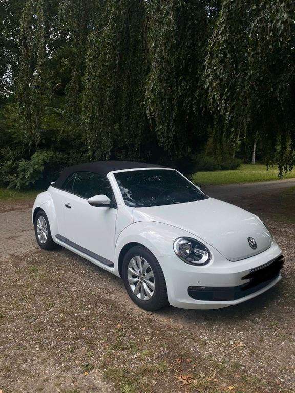 Image of Volkswagen Beetle