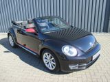 Volkswagen Beetle Cabriolet Club 1,2l 77kw - : Cabrio, Club