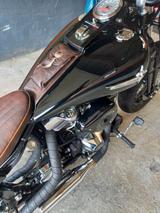 Harley-Davidson FXST Springer Softail mit Evo - HARLEY-DAVIDSON EVO