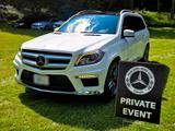 Mercedes-Benz Mercedes GL/GLS AMG 2016 Last Edition x166 - gebrauchte Mercedes-Benz GL 350 aus dem Jahr 2016