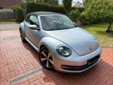 Volkswagen Beetle 1.6 TDI CUP BMT Cabriolet CUP BlueMot... - Volkswagen Beetle: TDI