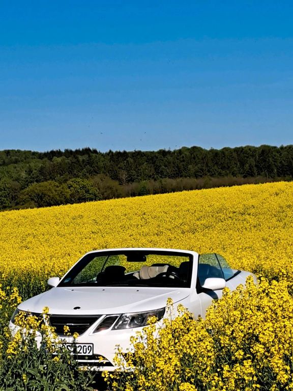 Image of Saab 9-3