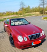 Mercedes-Benz Cabrio CLK 200 KOMPRESSOR ELEGANCE Elegance