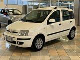 Fiat FIAT Panda 1.3 MJT 16V DPF Dynamic - Fiat Panda Dynamic mit Diesel-Antrieb