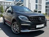 Mercedes-Benz ML 63 AMG.SD,Leder Beige,ACC,Harman-Kardon - Mercedes-Benz ML 63 AMG Gebrauchtwagen