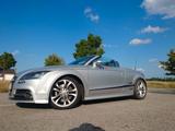 Audi TTS Roadster 2.0 TFSI quattro -Schöner Zustand - Audi TTS in München