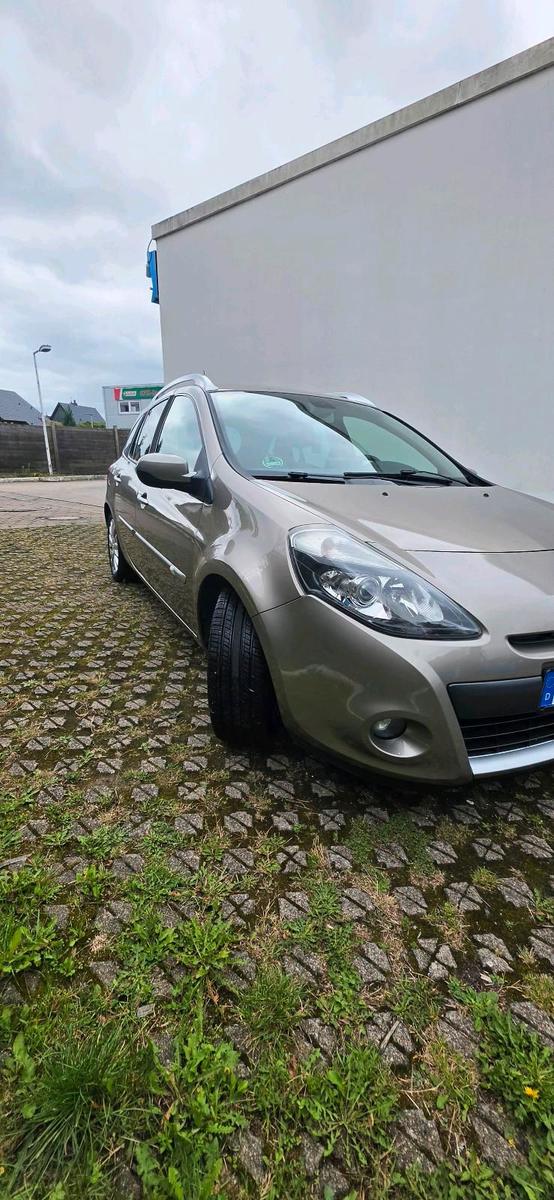 Renault Clio 2010 — rear view