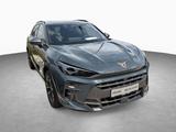 Cupra Terramar 1.5 eTSI 110 kW / Skyline Paket - blaue Cupra Terramar