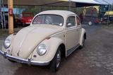 Volkswagen BREZELKÄFER - Volkswagen Käfer: Limousine