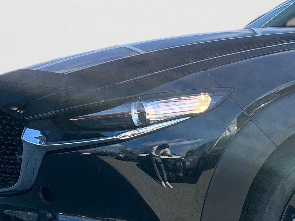Fahrzeugabbildung Mazda CX-30 X 2.0i 186PS Homura