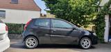 Fiat Punto .Typ 188 - Fiat Punto 188 mit Benzin-Antrieb