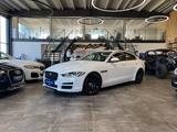 Jaguar XE Pure *NAVI*360°*SZHZ*TEMPO*BI-XENON*PDC*TOUCH - Jaguar XE Gebrauchtwagen