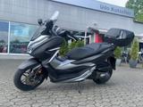 Honda Forza 300 *TIP TOP*Nur 8005 km* - Offers