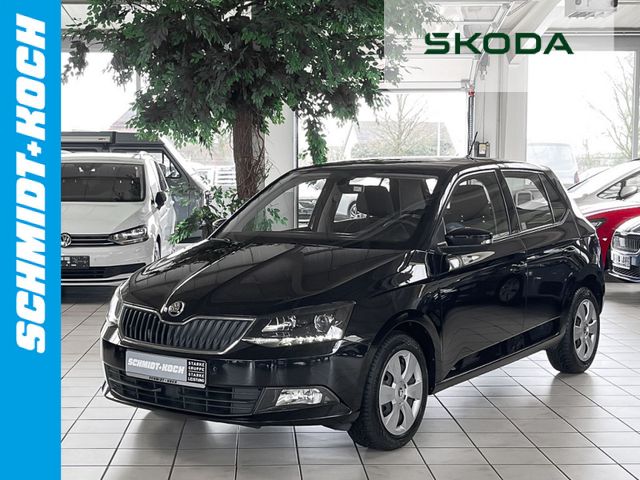 Skoda Fabia 1.0 TSI Ambition Green tec DSG Sitzhzg.