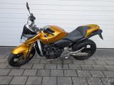 Honda Hornet CB600F - HONDA 2009 600 HORNET