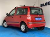 Fiat Panda 1.2 8V Dynamic/Nur 45.477 km/KLIMA - Fiat Panda mit Benzin-Antrieb: Limousine