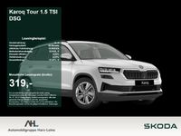 Skoda Karoq - Vorschau Bild 1