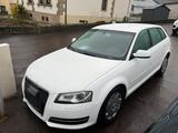 Audi A3 1,2 TFSI Attraction Isofix 5-Türer - Audi A3: Türer 3