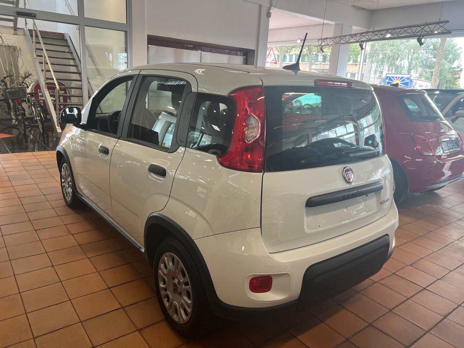Fiat Panda 1.0 GSE Hybrid