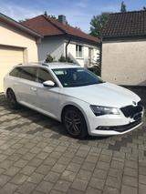 Skoda Superb 1.6 TDI DSG Combi AHK Memory el.HKL   - Skoda Superb mit Diesel-Antrieb: 1.6