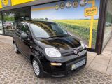 Fiat Panda mit Klima, Bluetooth & Allwetter Klima - Fiat in Nürnberg