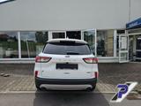 Ford Kuga PHEV Titanium WINTERPAKET NAVI RÜCKFAHRKAME - Ford Kuga Titanium mit Hybrid-Antrieb (Benzin/Elektro)