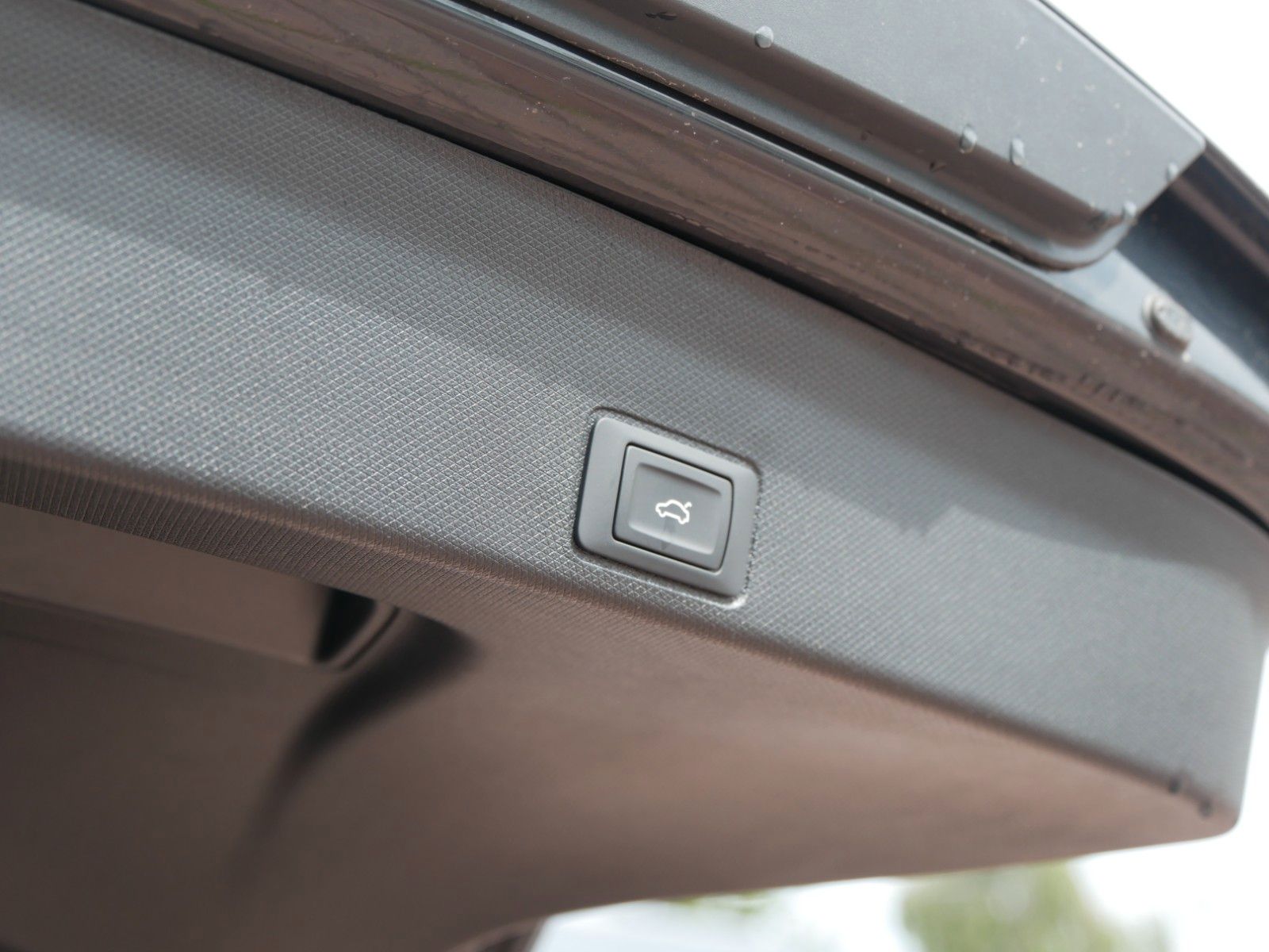 Cupra Terramar - Bild 18