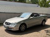 Mercedes-Benz Mercedes CLK 240 Elegance Tüv bis 09/2026 ... - Mercedes-Benz CLK 240: Cabrio