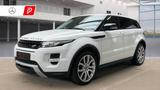 Land Rover Range Rover Evoque Dynamic/NAVI/PDC/ 1J.Garantie - Land Rover: Weiß