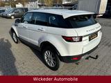 Land Rover Range Rover Evoque Pure/Tüv Neu/Top Pflege - Land Rover Range Rover Evoque in Dortmund