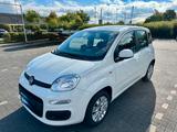 Fiat Panda Lounge, 1,2 L, 4 Zylinder, sehr gepflegt! - Fiat Panda in Bonn