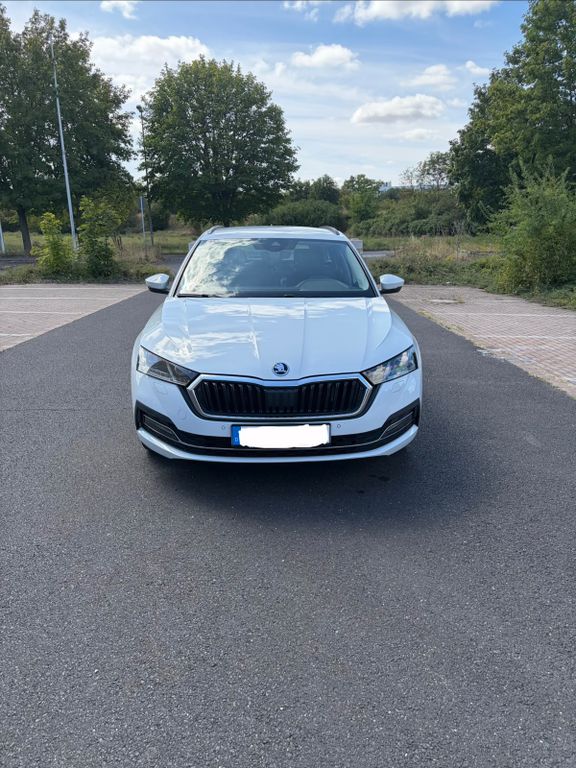Image of Skoda Octavia