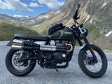 Triumph Street Scrambler  - TRIUMPH STREET SCRAMBLER