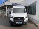 Ford Transit Kasten Trend 350 L2+SHZ+PDC+Klima+DAB+ - Ford Transit: 3.2