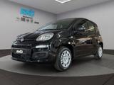Fiat Panda 1.0 Mild Hybrid EU6e City Paket - Fiat Panda in Bonn