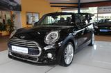 MINI COOPER Cabrio Cooper Automatik - MINI MINI: Roadster