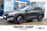 Ford Kuga 2,5 FHEV ST-Line X Winter-Pack 360 Navi HUD