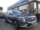 Hyundai Santa Fe 2.2 CRDI 8G-DCT"Prime"7-Sitze - Hyundai SANTA FE: 2.7
