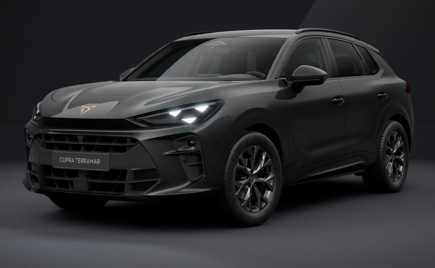 Cupra Terramar - Bild 8