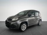 Fiat Panda 1.2 Lounge/ PDC H/KLIMA/RADIO/TÜV NEU - Fiat Panda: 1.1