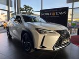 Lexus UX 250 h Launch Edition LED NAV SHZ RFK - Lexus UX Gebrauchtwagen