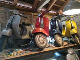 Vespa 50 Elestart Special 1. Serie Sammlung O-Lack  - Offers
