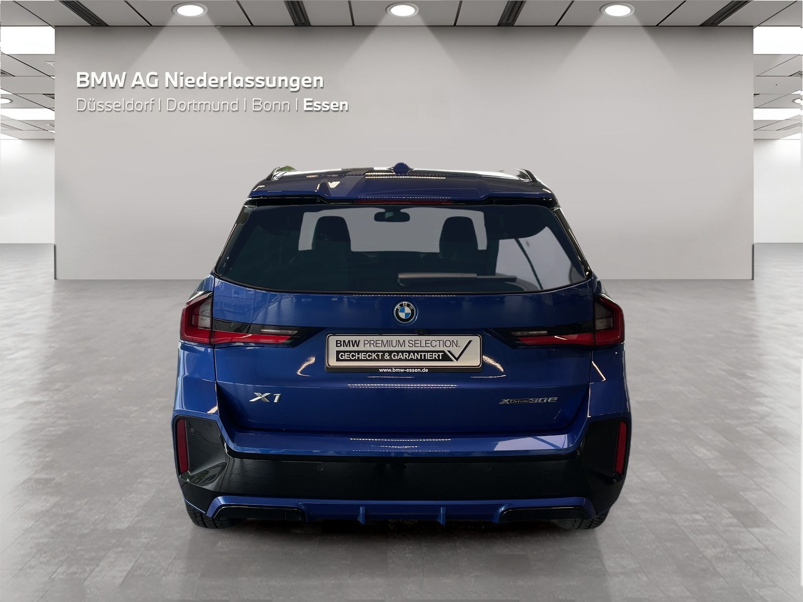 BMW X1 xDrive30e M Sport AHK Driv.Assist.Prof LED foto 10