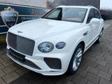 Bentley Bentayga 4.0 V8** Azure 4WD** Panorama** Top!** - Bentley in München