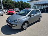 Fiat Punto Evo 1.2 5 porte GPL Active - 2011 - Fiat Punto Evo: Active