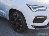 Cupra Ateca 2.0 TSI 4Dr. ACC Beats LED Navi RüKa Sitzh - Cupra Ateca aus 2022