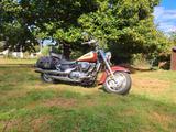 Suzuki Intruder VL1500  - SUZUKI 1998 INTRUDER 1500