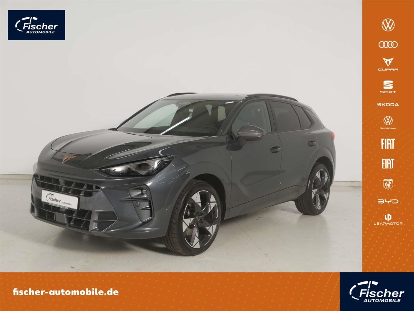 CUPRA Terramar 2.0 TSI DSG HUD/AHK/PANO/NAV/Memory/RFK